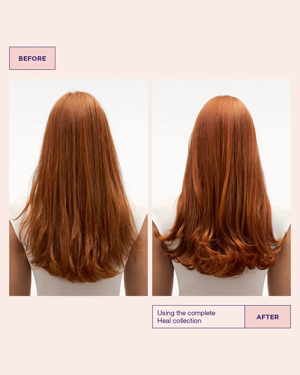 HEAD &amp; HAIR HEAL SHAMPOO - MARIA NILA 350ml