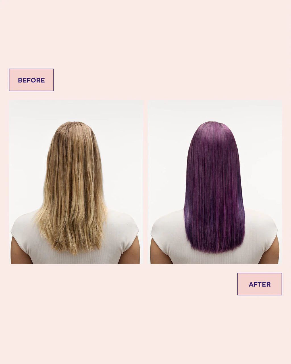 COLOUR REFRESH VIVID VIOLET - MARIA NILA