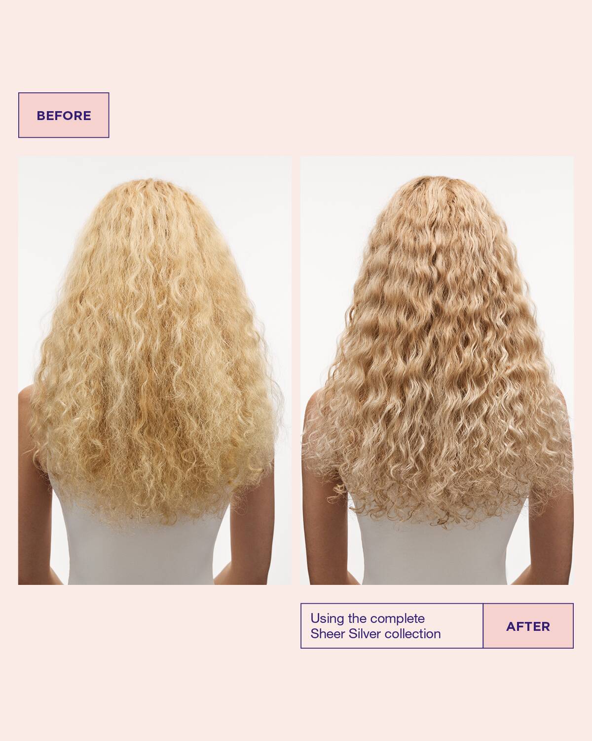 SHEER SILVER CONDITIONER - MARIA NILA
